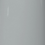 RAL 7004